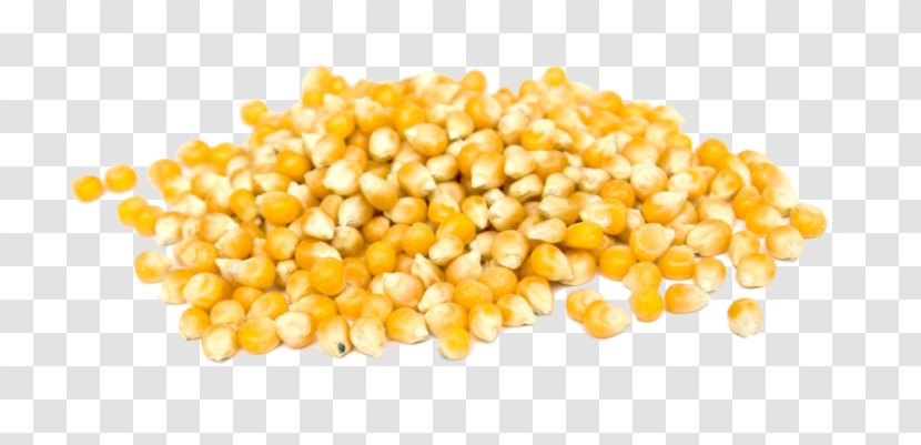 Corn On The Cob Popcorn Sweet Kernel Grain - Commodity - Yellow Bean Transparent PNG