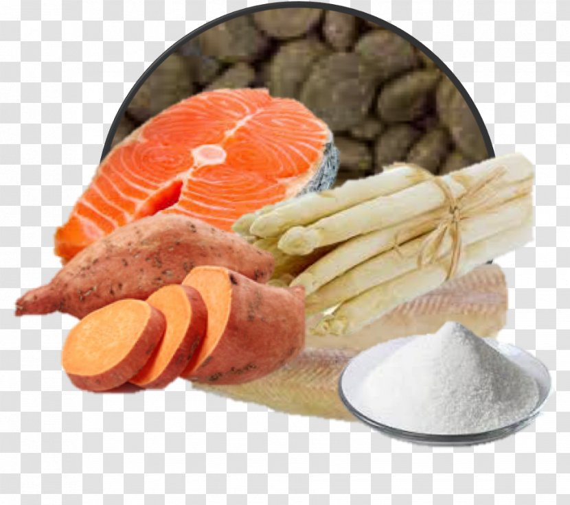 Dog Food Smoked Salmon Cat - Trout - Elderly Home Transparent PNG