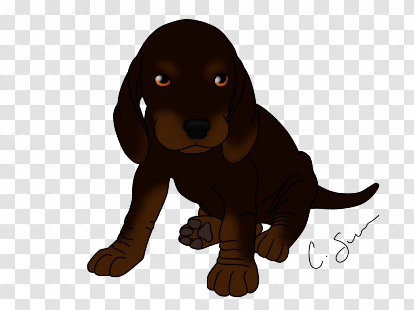 Dog Breed Black And Tan Coonhound Puppy Field Spaniel Boykin Transparent PNG