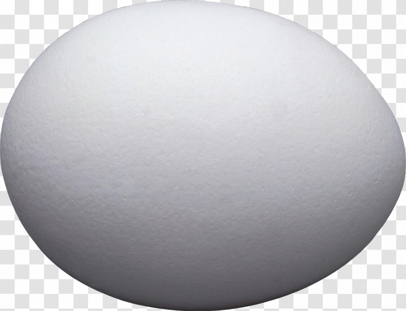 Egg - Oval Transparent PNG