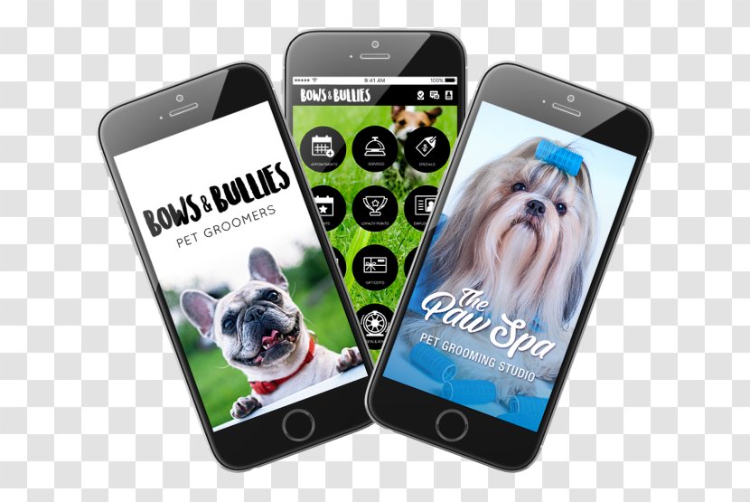 Smartphone French Bulldog Dog Grooming Pet - Like Mammal Transparent PNG