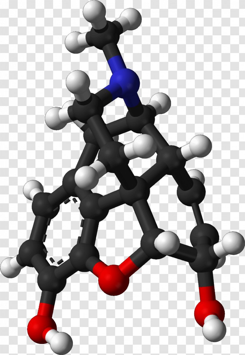 Endorphins Morphine Opioid Chemistry Molecule - Joint Transparent PNG
