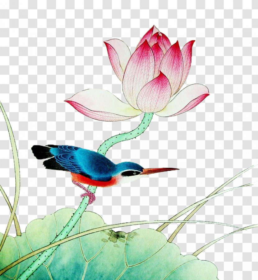 Gongbi Chinese Painting Nelumbo Nucifera Ink Wash Bird-and-flower - Wing - Hand-painted Lotus Transparent PNG