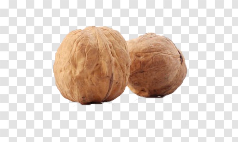 English Walnut Fruit - Tree Nuts - Hard Transparent PNG