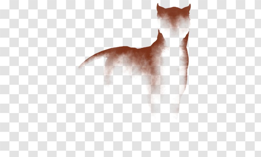 Whiskers Kitten Dog Breed Fur - Tail Transparent PNG