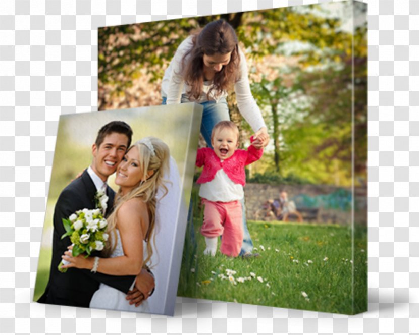 Printing Canvas Print Picture Frames Gallery Wrap - Wall Transparent PNG