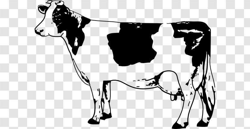 Angus Cattle Clip Art - Bull - Black Outline Transparent PNG