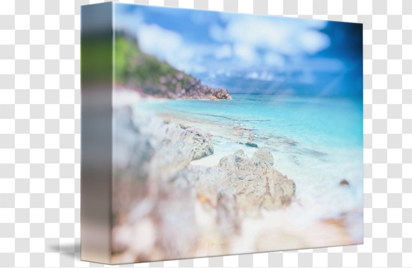 Stock Photography Water Sea Sky Plc Transparent PNG