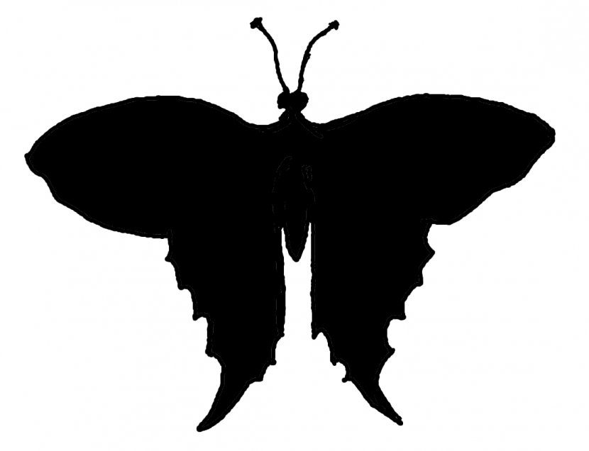 Butterfly Silhouette Photography Clip Art - Brush Footed Transparent PNG