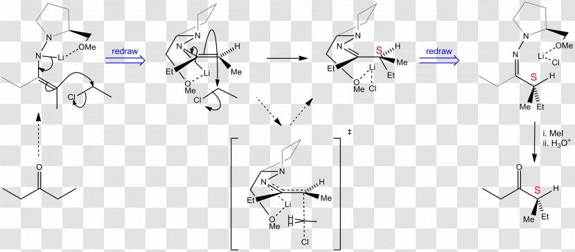 Enders SAMP/RAMP Hydrazone-alkylation Reaction Chiral Auxiliary Organic Chemistry - Watercolor - Controlled Transparent PNG
