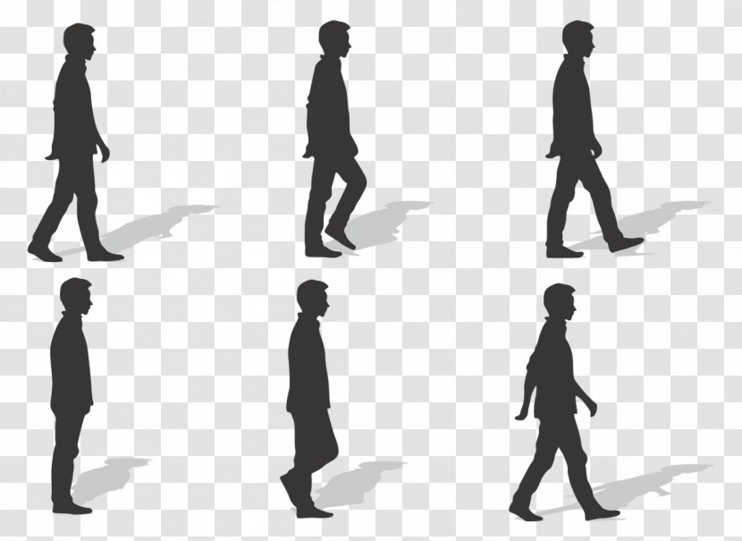 Walk Cycle Walking Euclidean Vector - Human - Ms. Silhouette Transparent PNG