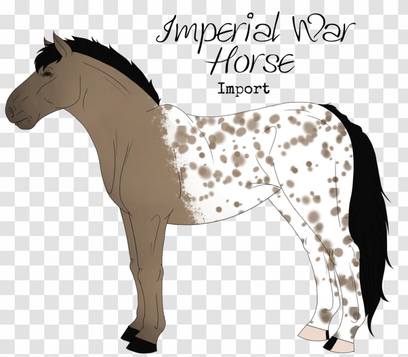 Stallion Mustang Pony Mare Mane - Horse - War Transparent PNG