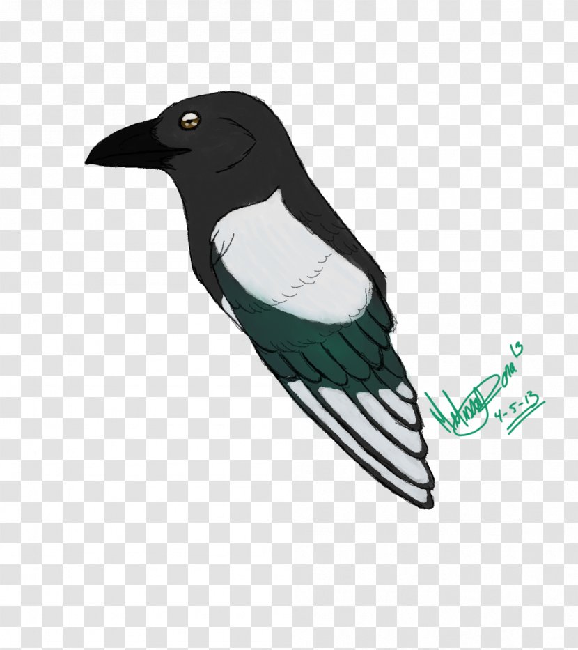 Beak Bird Feather Wing Transparent PNG