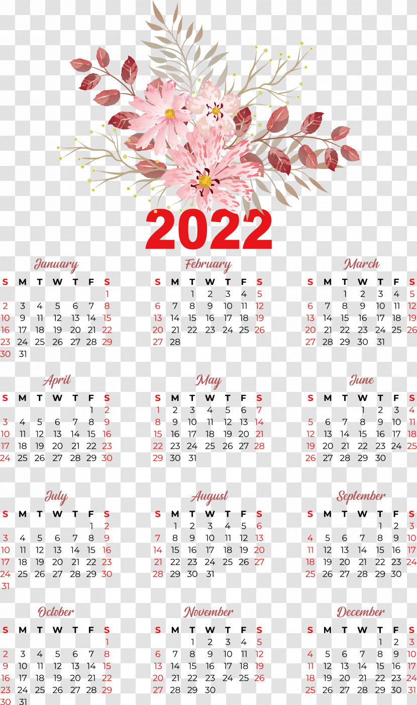 Flower Calendar Font Meter Plant Transparent PNG