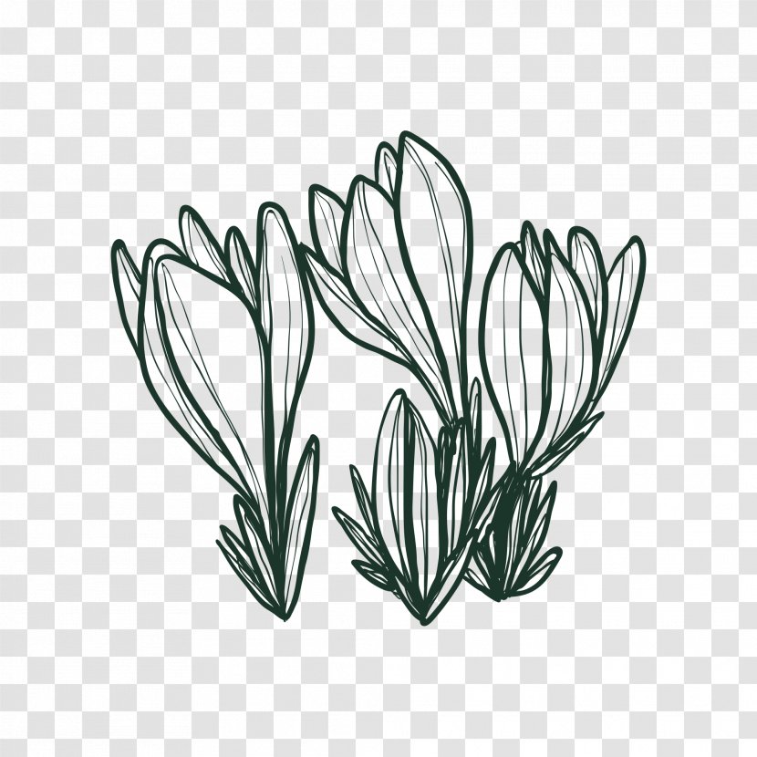 Drawing Vector Graphics Design Image Painting - Simple Flower Transparent PNG