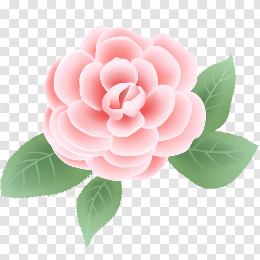 Floral Design Rose Flower Vector Graphics Clip Art - Garden Roses - Pink Larkspur Transparent PNG