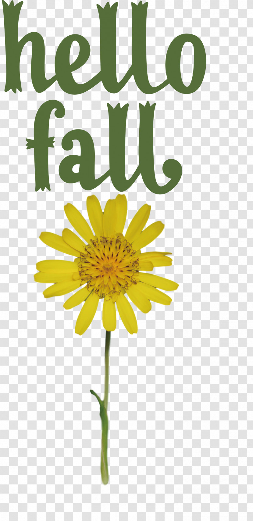 Hello Fall Fall Autumn Transparent PNG