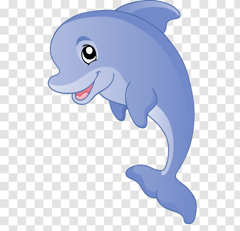 Tucuxi Common Bottlenose Dolphin Cartoon Clip Art - Fin Transparent PNG