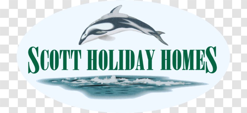 Common Bottlenose Dolphin Logo Brand Water - Advertising Transparent PNG