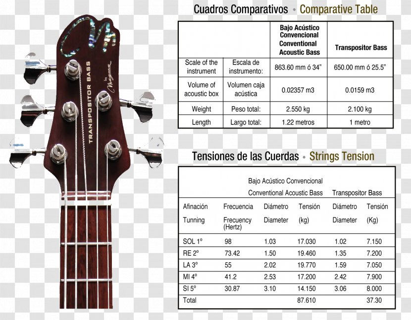 Acoustic Bass Guitar Acoustic-electric String Instruments - Cartoon Transparent PNG