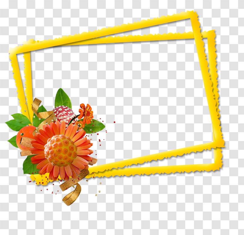 Image Flower Centerblog Design - Common Daisy Transparent PNG