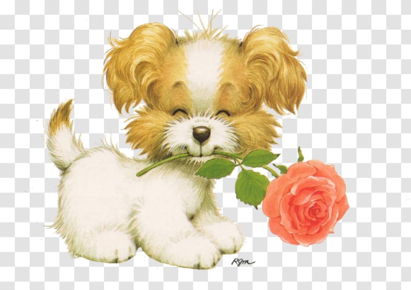 Cavachon Puppy Shih Tzu - Art Transparent PNG