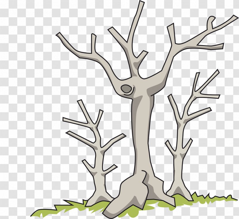 Tree Branch Clip Art - Line - Love Transparent PNG