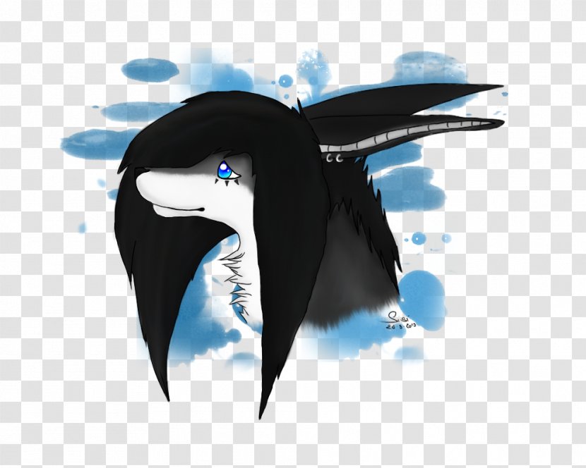 Dolphin Killer Whale Transparent PNG