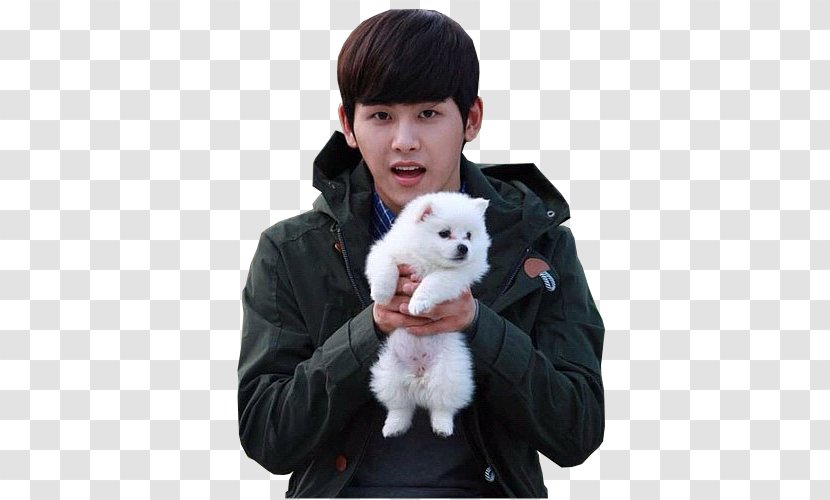 Hoya Reply 1997 South Korea Infinite Kang Joon-hee - Cartoon - Actor Transparent PNG