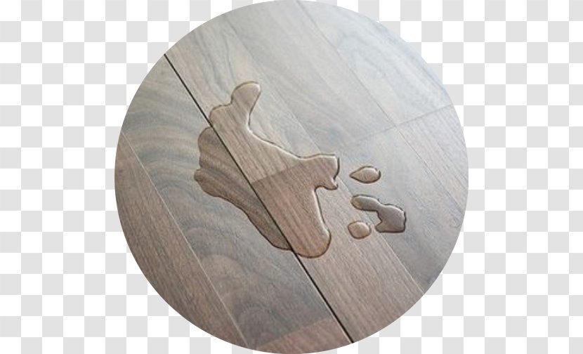 Laminate Flooring Wood Lamination - Carpet Transparent PNG