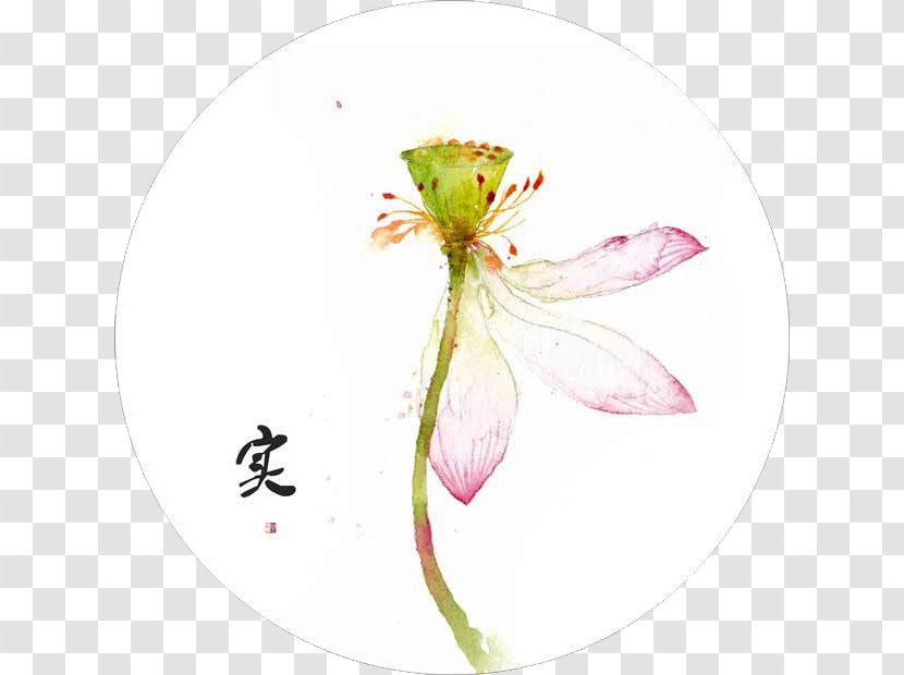 Acuarela Creativa Watercolor Painting Illustration - Flowering Plant - Lotus Transparent PNG