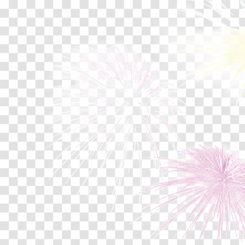 Petal Pattern - White - New Year Fireworks Transparent PNG