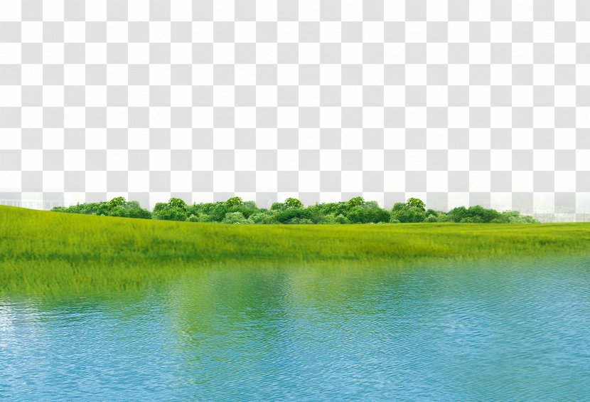 Water Resources Ecosystem Green Grassland Wallpaper - Photography - Nature River Transparent PNG
