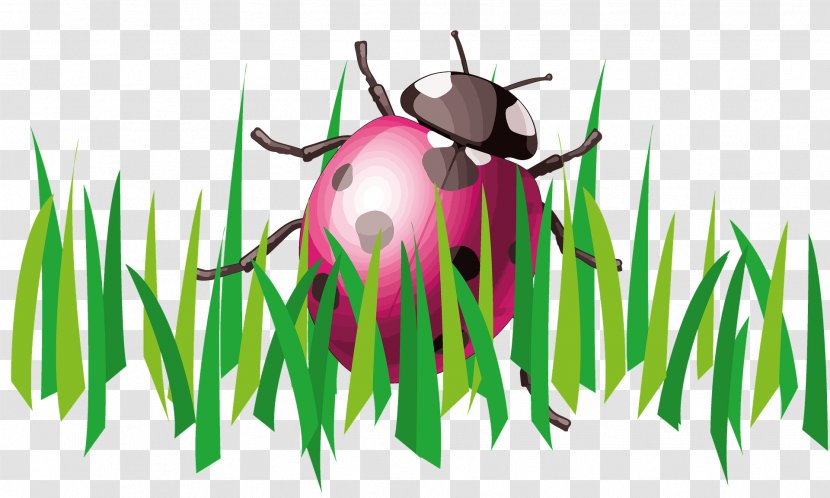 Lawn Garden Landscaping Landscape Design - Ladybug Transparent PNG