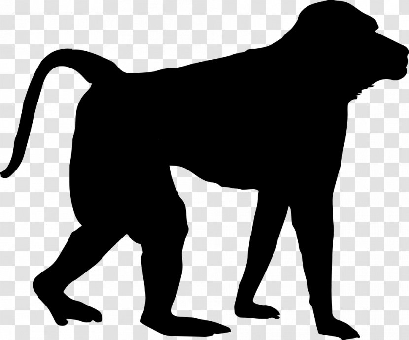 Chimpanzee Monkey Icon Design - Snout Transparent PNG
