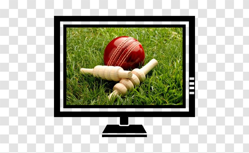 England Cricket Team India National World Cup Desktop Wallpaper - Grass Transparent PNG