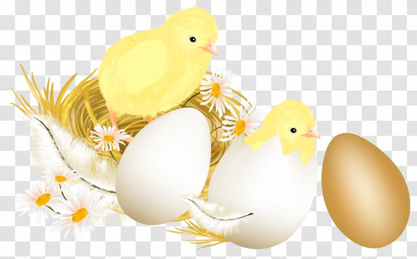 Chicken Egg Illustration - Kifaranga - Easter Eggs And Chickens Picture Clipart Transparent PNG