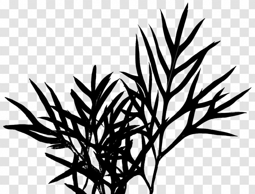 Clip Art Plant Stem Leaf Flower Commodity - Tree - Woody Transparent PNG