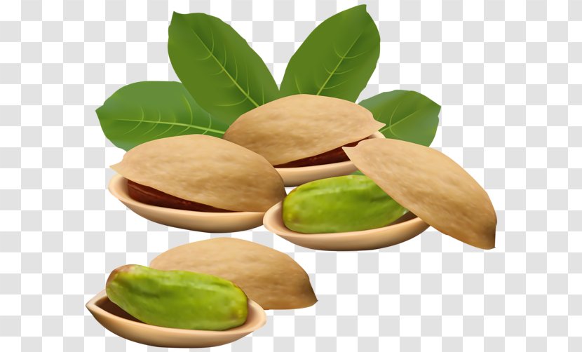 Pistachio Ice Cream Nut Clip Art - Food Transparent PNG