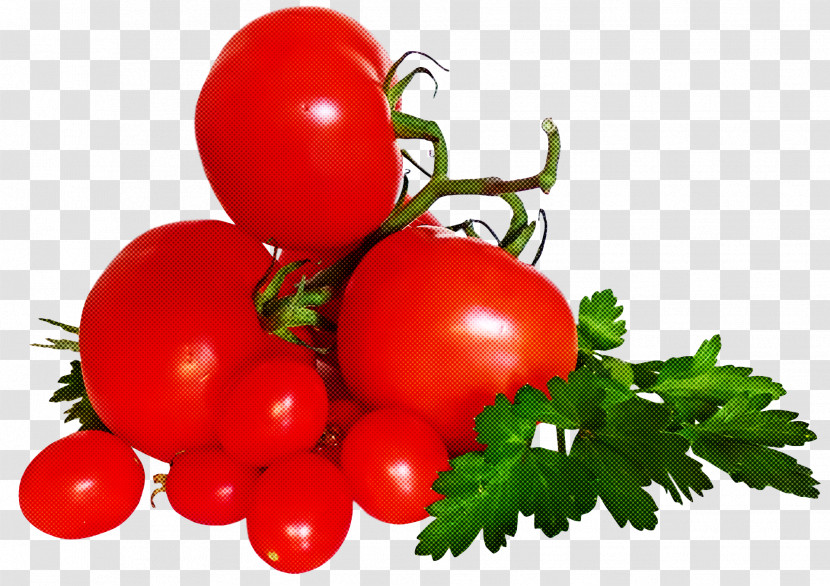 Tomato Transparent PNG