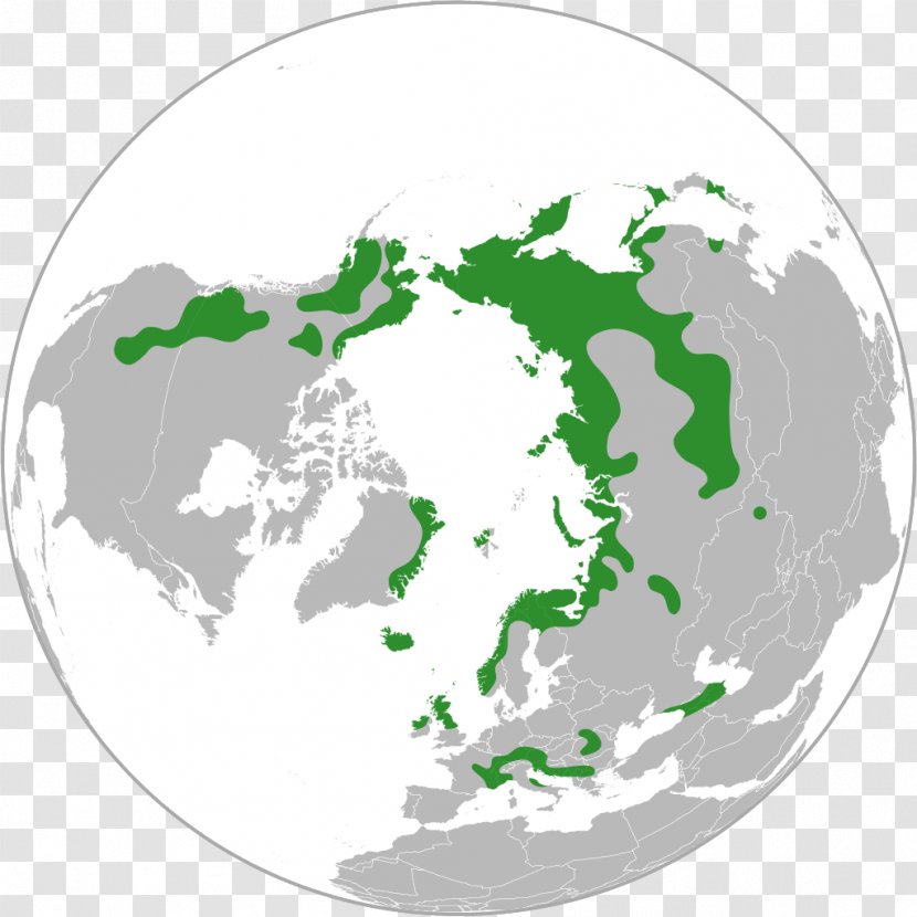 Arctic United States North Pole Earth - Navigation Transparent PNG