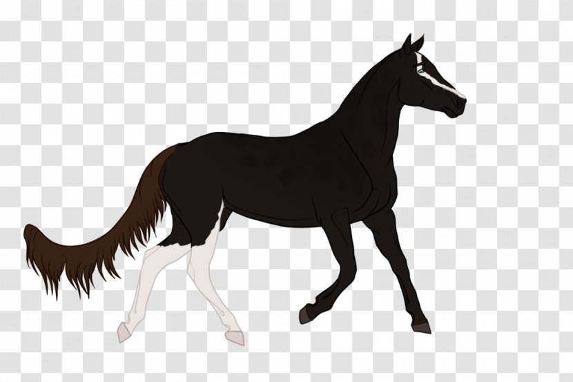 Mustang Foal Stallion Colt Mare - Pack Animal Transparent PNG