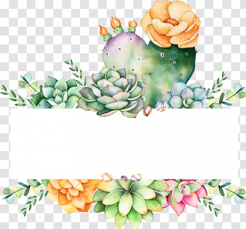 Watercolor Flower Background - Cactus - Stonecrop Family Petal Transparent PNG