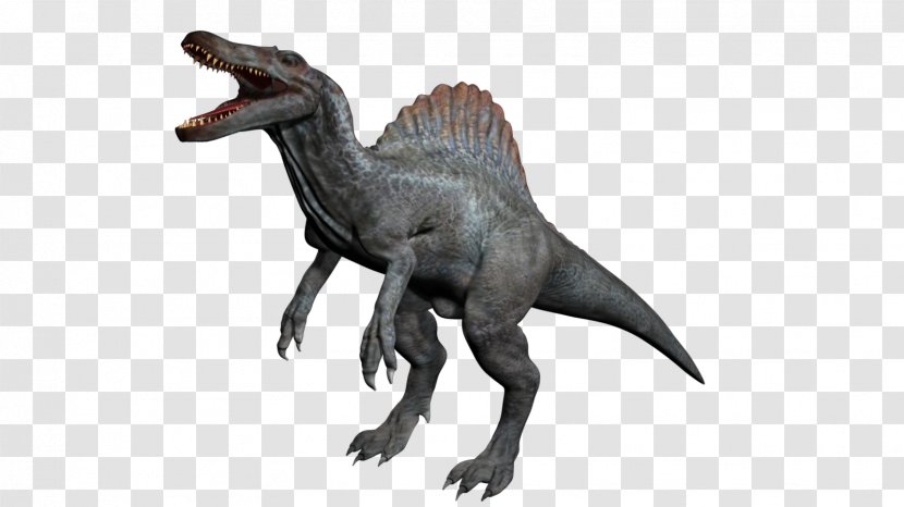 Spinosaurus Tyrannosaurus Stegosaurus Velociraptor Kentrosaurus - Terrestrial Animal - Dinosaur Transparent PNG