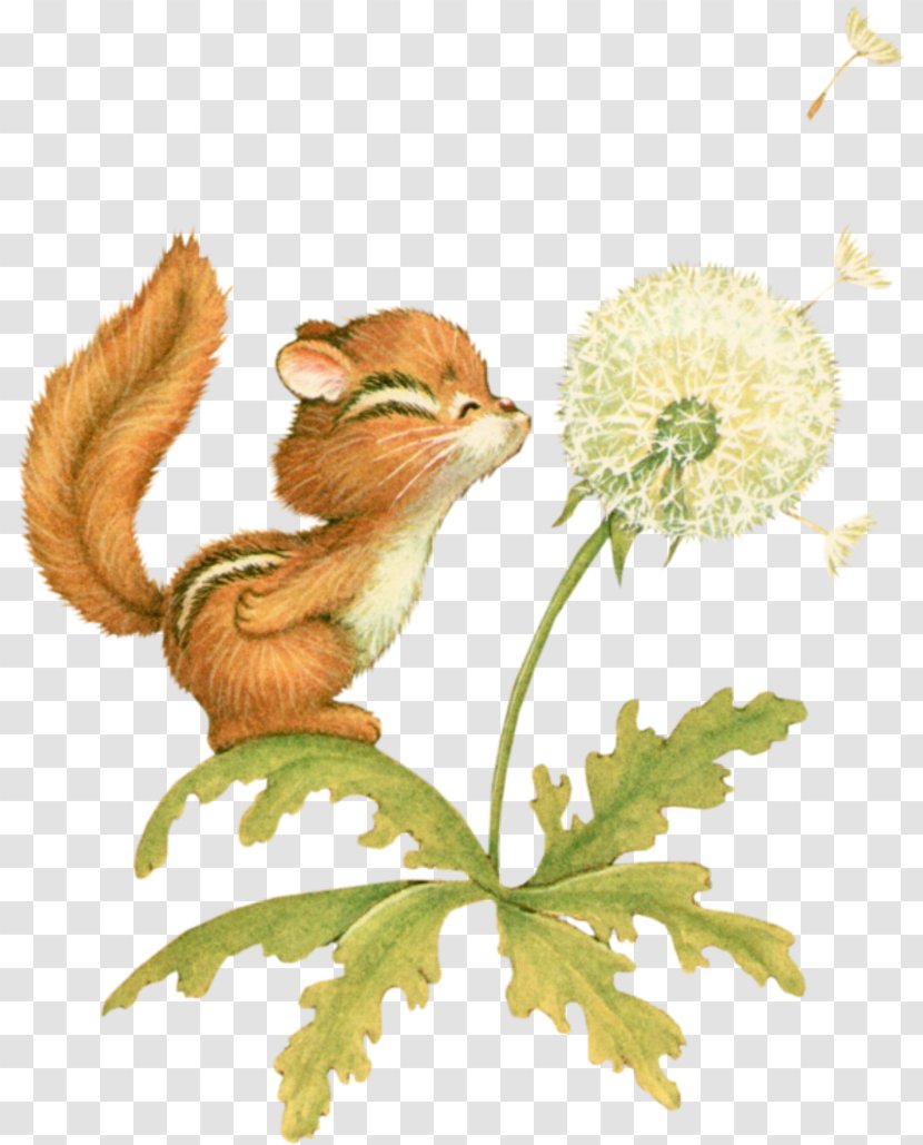 Whiskers Chipmunk Cat Squirrel Flowering Plant Transparent PNG