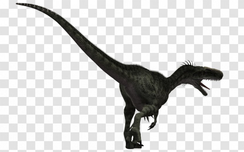 Monolophosaurus Velociraptor Majungasaurus Aardonyx Apatosaurus - Free Content - Pictures Of Dinosours Transparent PNG