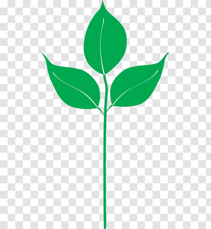 Clip Art Plant Stem Leaf Flowering Line - Branching - Appoint Silhouette Transparent PNG