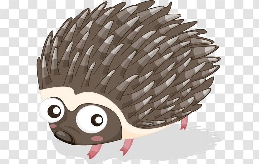 Hedgehog Cartoon Porcupine Illustration - Beak - Material Transparent PNG