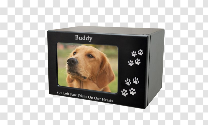 Puppy Golden Retriever Picture Frames Companion Dog - Mediumdensity Fibreboard Transparent PNG