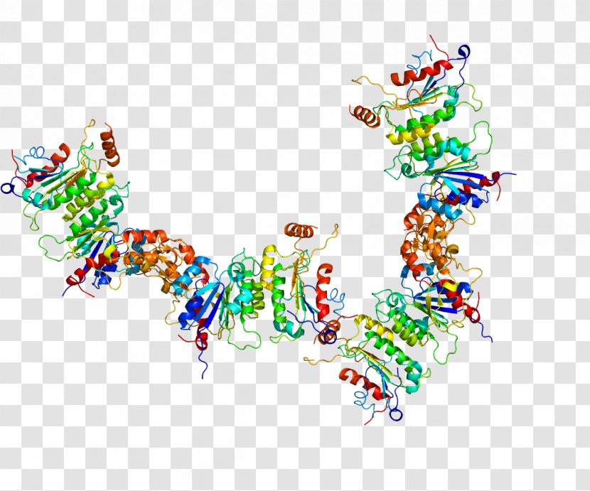 DNA (cytosine-5)-methyltransferase 3A Methyltransferase Methylation Enzyme - Protein Transparent PNG